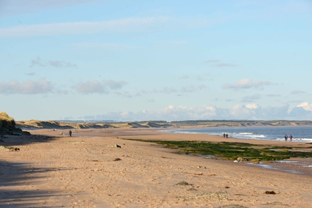 Cresswell Foreshore - Steven Morris