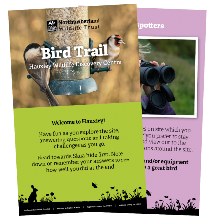 Hauxley bird trail