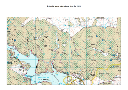 Kielder Map