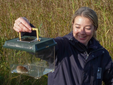 Sophie Webster bank vole - Catch My Drift