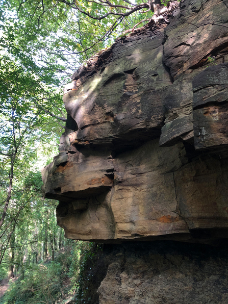 Jesmond Dene quarry - Ian Jackson