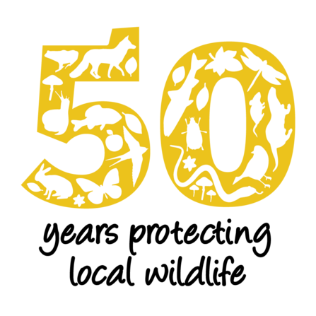 50th logo