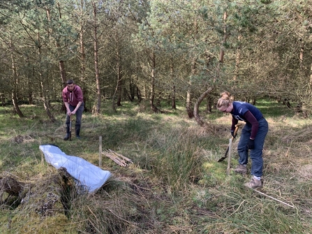 Tree planting - Joel Ireland