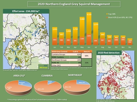 RSNE 2020 summary