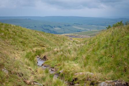 Langdon Beck Tributary - Elliot Lea