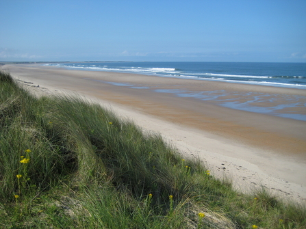 Druridge Bay - Steve Scoffin