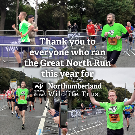 Great North Run 2021