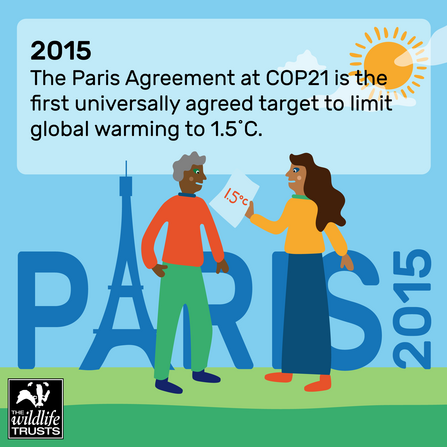 Climate timeline 2015