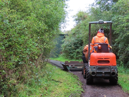 Accessible path West Hide - Holly Hauxley