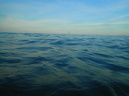 The Pelagic zone or Open Ocean of the Northumberland coast. Photo by Katarina Martin/@katiediddiscover