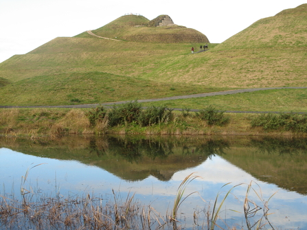 Northumberlandia, image Growing with Nature project