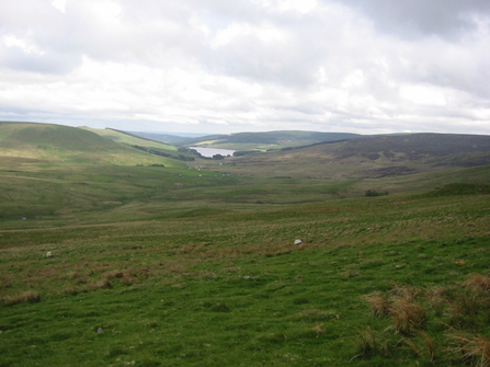 Whitelee Moor by Duncan Hutt