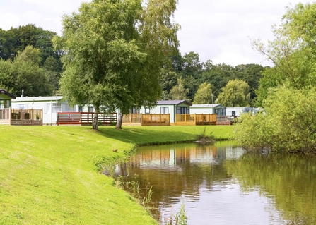 Image of a row of static caravans in a leisure park, surrounded by trees, next to a body of water.