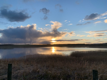 East Chevington nature reserve.  Image by Sophie Webster.