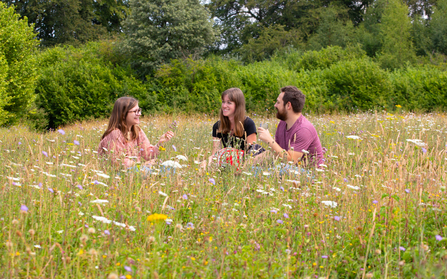 Ditch the barbecue and have a picnic instead, image Jon Hawkins.