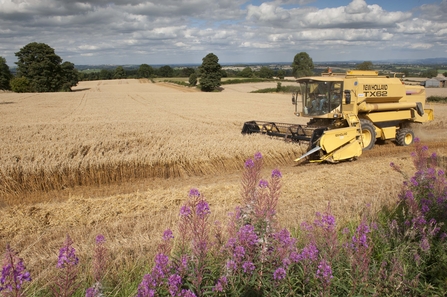 Farming the land.  Image by Paul Harris 2020VISION.