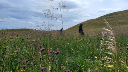 Meadow at Northumberlandia - Rob Drummond