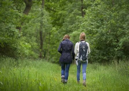 Big Wild Walk. Image be Matthew Roberts.