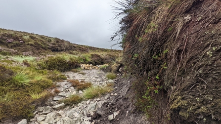 Peat erosion on Whitelee Moor - John Hartshorne