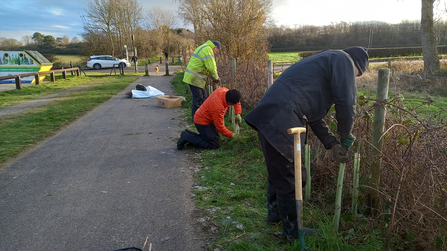 Hedge planting at Weetslade Country Park - Rob Drummond