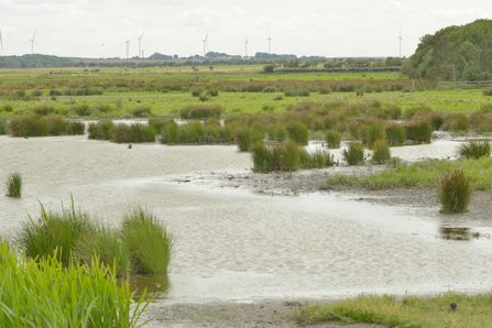 Druridge Pools. Image by Steven Morris.