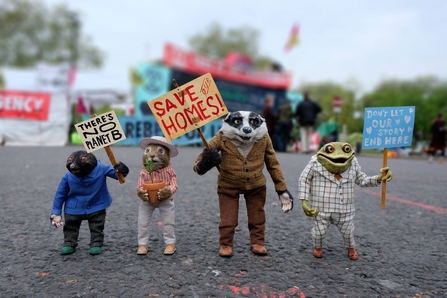 Wind in the Willows characters supporting the January sale, with text reading "Stand up for nature with us for a wilder future.
