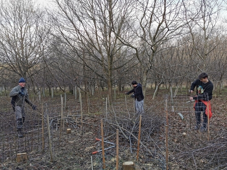 Juliet's Wood coppicing.  Image by Duncan Hoyle.