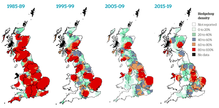 Hedgehog density map