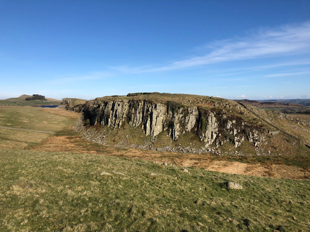 County rock and fossil vote. Image by Ian Jackson.