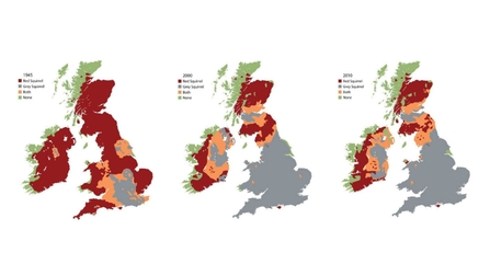 Red squirrel distribution map - 1945 - 2010