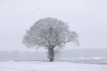 12 Days Wild. Image by Jon Hawkins Photography.