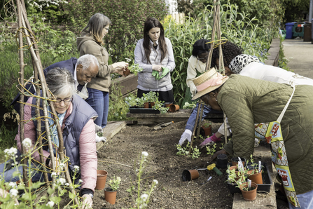 Community gardening. Image by Penny Dixie.