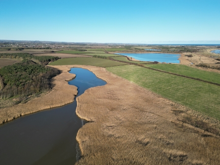 Biodiversity Boost: A Journey to a Wilder Druridge. Image by Graham Holyoak.