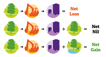 Biodiversity Net Gain Infographic