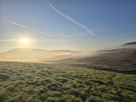 Sun shining at Whitelee. Image by Geoff Dobbins.