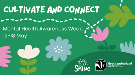 This is a promotional image for Mental Health Awareness Week (12-18 May). The design features stylized flowers and leaves on a green background, connected by a dotted line, symbolizing connection and growth. The text "Cultivate and Connect" emphasizes the theme. The Northumberland Wildlife Trust's logo and the "Shine" logo are also present