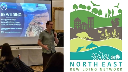 Rewilding Network Talk