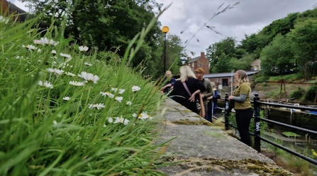 Rewilding Roadshow Canal