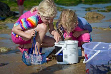 Two girls peering into a bucket on the beach. Image by Matthew Roberts.