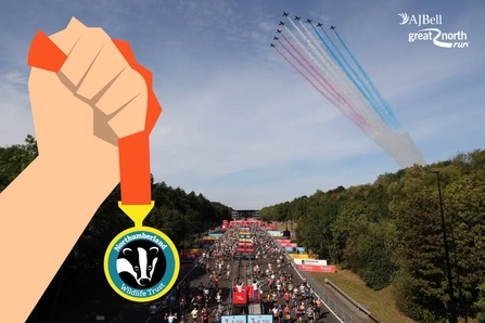 Great North Run Graphic