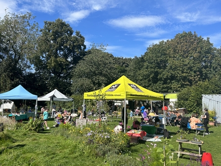 NWT gazebo in the middle of Nuns Moor Park, Newcastle. Image by NWT.