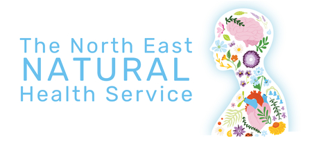 The image features the text "The North East NATURAL Health Service" in a light blue sans-serif font on the left side. To the right, there's a silhouette of a person's head and torso filled with various vector illustrations of flowers, leaves, a brain, and other nature-related elements.