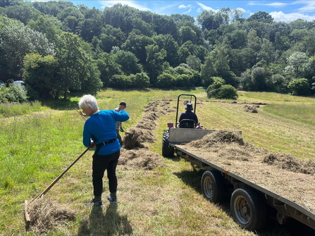 A volunteer raking the grass next to a tractor and trailer with trees in the background. Image by Chloe Cook.