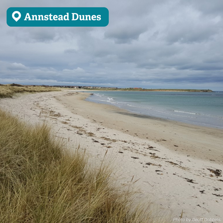 Coastal landscape of a sandy beach, with dunes to the left of the image and the ocean to the right of the image. The sky is filled with heavy grey clouds.
