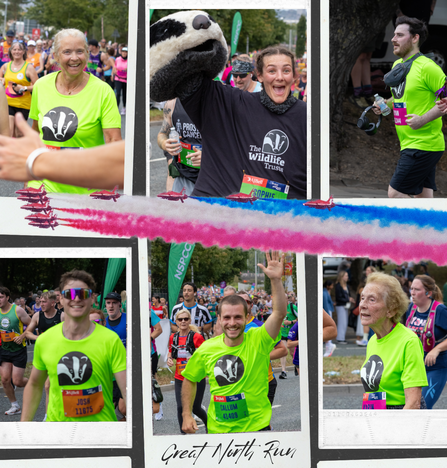 Great North Runner Collage 2025