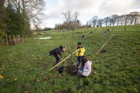 Three young people planting trees. Image by Matthew Roberts.