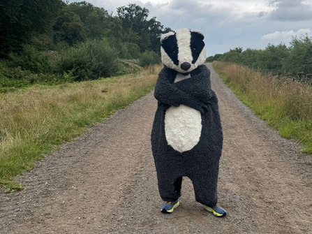 A person in a badger costume stands on a dirt path surrounded by grass and trees.