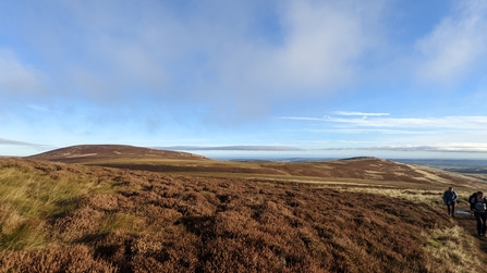 The image captures a vast landscape with rolling hills covered in brown heather under a blue sky with patchy clouds. In the foreground, dense heather dominates, leading to the undulating terrain of the hills. Two people are visible on a path in the lower right corner.