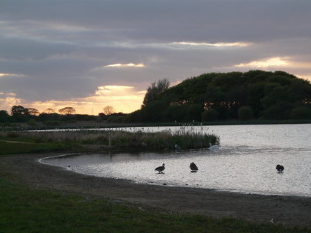 The lake and trees at Holywell Pond at sunset. Image by Duncan Hutt.