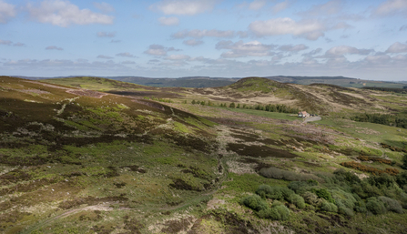 The image shows an expansive view of a rolling, grassy landscape under a sky dotted with clouds. The hills are covered with varied vegetation, including patches of green and areas that appear brownish-tan, possibly indicating different types of ground cover or different stages of growth.